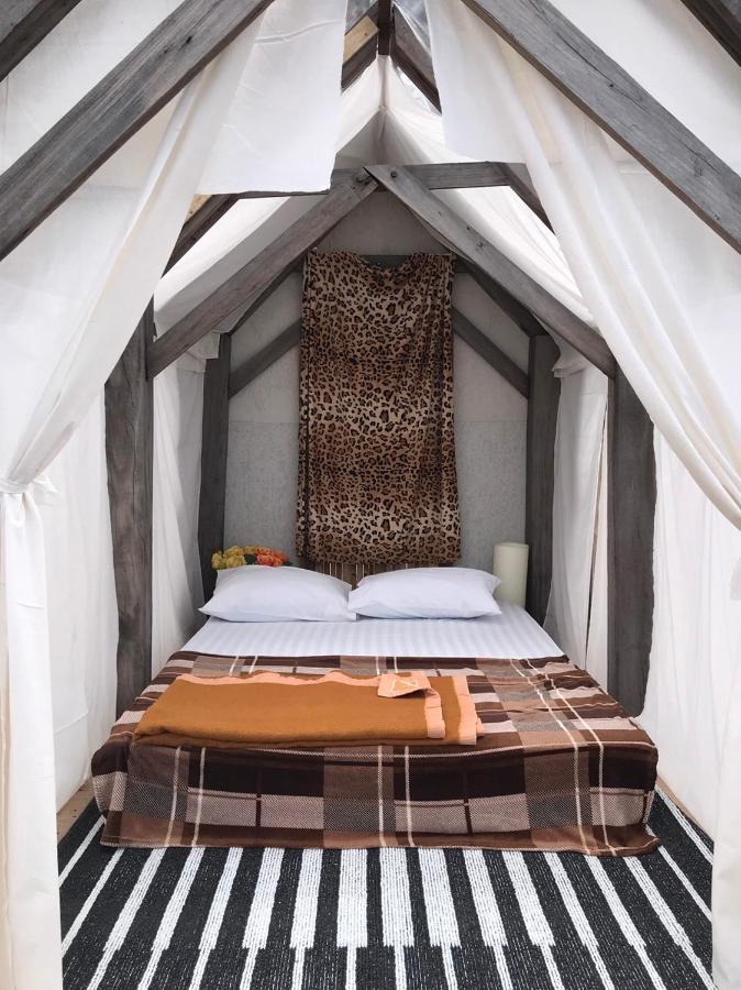Terre Terrace Glamping - Doichang Ban Huai Khai 외부 사진